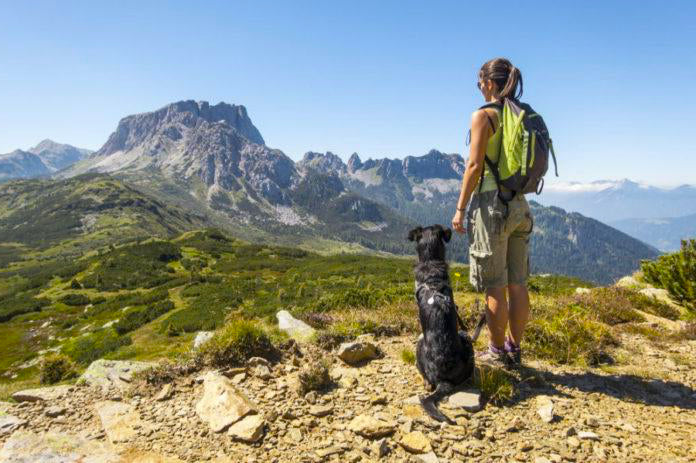 How to keep your dog happy and safe on a hike