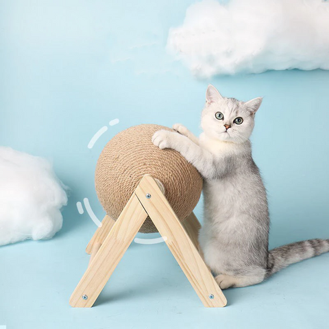 chinchilla kitten pet cat ball scratch post toy blue sky clouds color