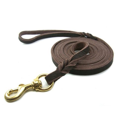 buy dog lead leather leash gold training