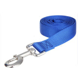 buy dog leash nylon long blue