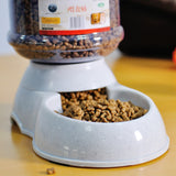 pet food feeder cat dog automatic