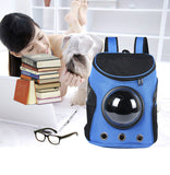 buy cat dog bag backpack capsule blue