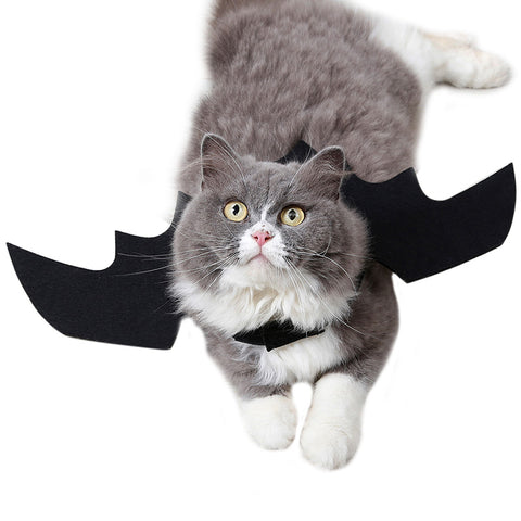 cat dog pet bat costume halloween