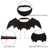 cat dog pet bat wings costume halloween